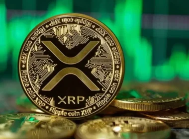 XRP, Yedi Yıl Sonra Tüm Zamanların En Yüksek Seviyesine Ulaştı