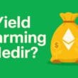 Yield Farming Nedir? DeFi Ekosisteminde Getiri Arayışının Yeni Yolu