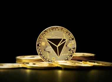 Canary Capital’den Yeni Kripto ETF Hamlesi: Endekste Hangi Coinler Olacak?
