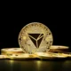 Canary Capital’den Yeni Kripto ETF Hamlesi: Endekste Hangi Coinler Olacak?