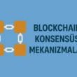 IMF 2025 Güncellemesi: Blockchain Konsensüs Mekanizmaları