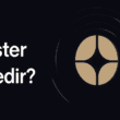 Aster (ASTER) Nedir? Yeni Nesil Perpetual İşlemler Platformu