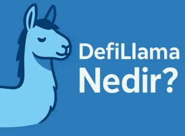 DefiLlama Nedir? DeFi Ekosisteminin En Büyük Analitik ve Veri Platformu