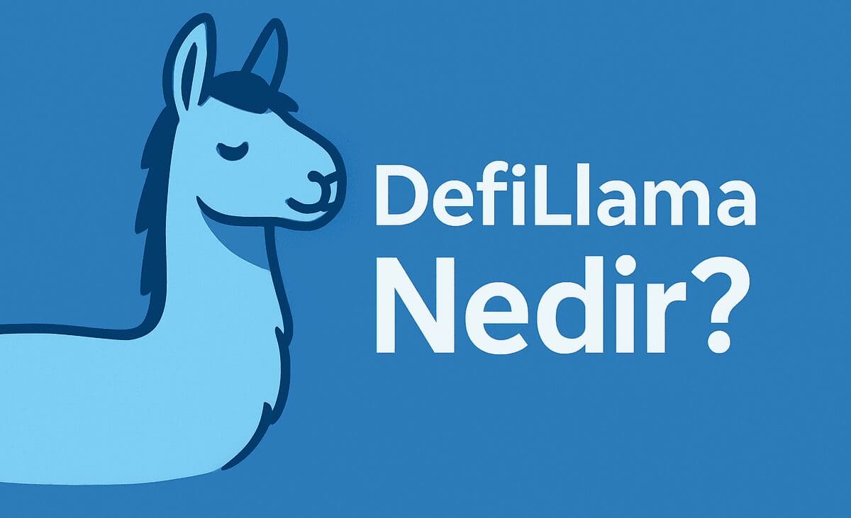 DefiLlama Nedir? DeFi Ekosisteminin En Büyük Analitik ve Veri Platformu