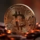 Alman Hükümetinin El Koymadığı 5 Milyar Dolarlık Bitcoin Ortaya Çıktı