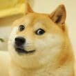 SEC Erteledi, REX ve Osprey Harekete Geçti: Dogecoin ETF Geliyor