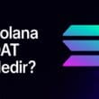 Solana DAT Nedir? Dijital Varlık Hazineleri ve SOL Ekosistemindeki Rolü