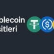 Stablecoin Çeşitleri: Collateralized, Algorithmic ve Hybrid Modeller