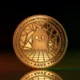 Aave DAO, 50 Milyon Dolarlık Token Geri Alım Programı Önerdi