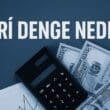 Cari Denge Nedir? Ekonomilerin Dış Denge Göstergesi Üzerine Derinlemesine Bir Bakış