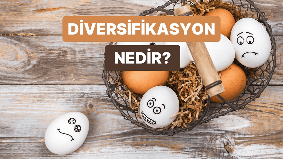 Diversifikasyon Nedir 1