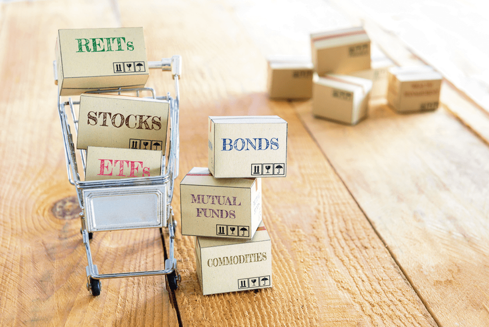 Diversifikasyon Nedir 3