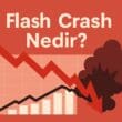 Flash Crash Nedir?