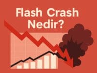 Flash Crash Nedir?