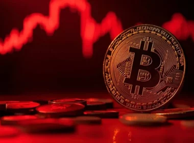 Ekim Çöküşünden Milyonlarca Dolar Kazanan Balina Yeniden Sahnede