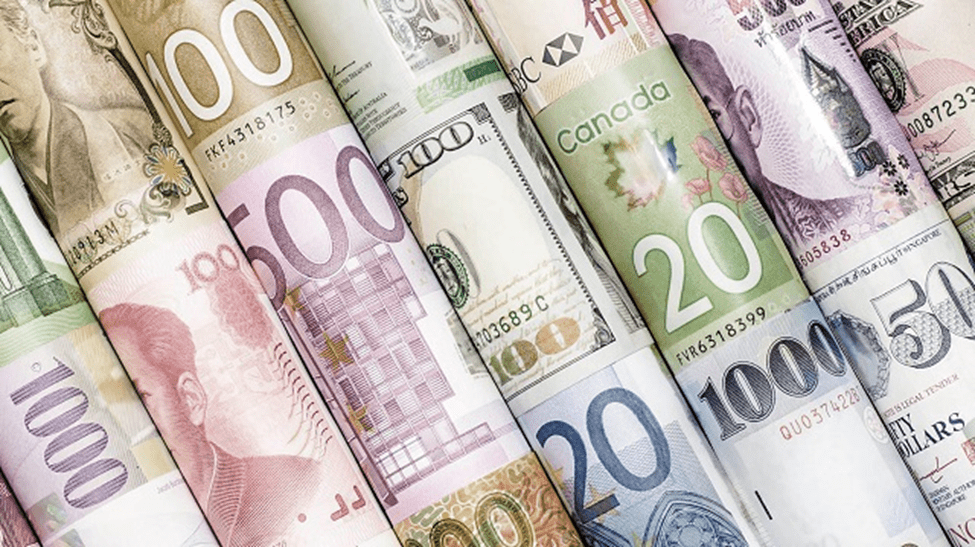 Serbet Piyasa Nedir 2