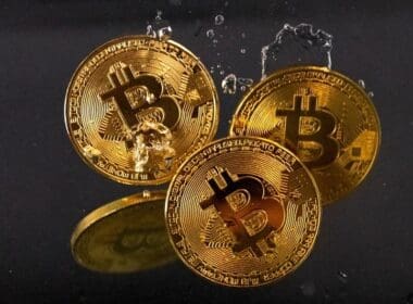 Santiment Analizi: Balinalar ve Küçük Yatırımcılar Ayrışıyor