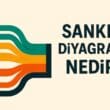 Sankey Diyagramı Nedir? Para Akışlarını Görselleştirmede Kullanılan Stratejik Analiz Aracı
