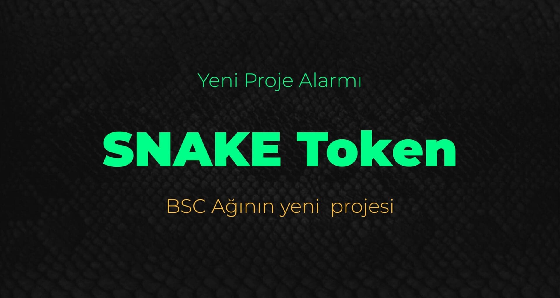 Yatırımcıların Gözü Bu Projede: Snake Token, Binance Web3 Cüzdan Entegrasyonuyla Dikkat Çekiyor