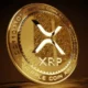 XRP ETF’lerinde 36 Günlük Seri Sona Erdi