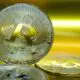 Spot Bitcoin ETF’lerine 5 Günde 1,7 Milyar Dolar Aktı