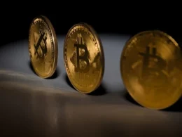 Kripto kazanıyor, peki kripto paralar?
