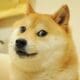 Dogecoin Sadece Memecoin Olmaktan Çıkıyor mu? DogeOS Test Ağı Açıldı