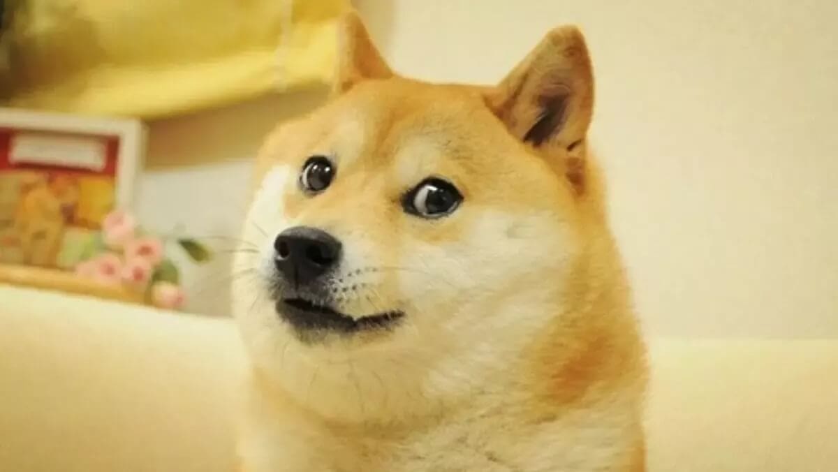 Dogecoin Sadece Memecoin Olmaktan Çıkıyor mu? DogeOS Test Ağı Açıldı